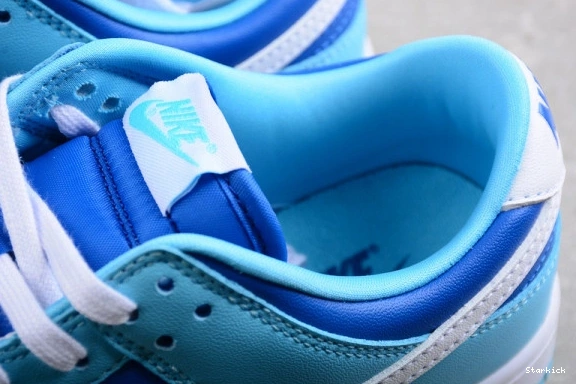 Nike Argon Low DM0121-400 (2022) QS Dunk Retro 0906